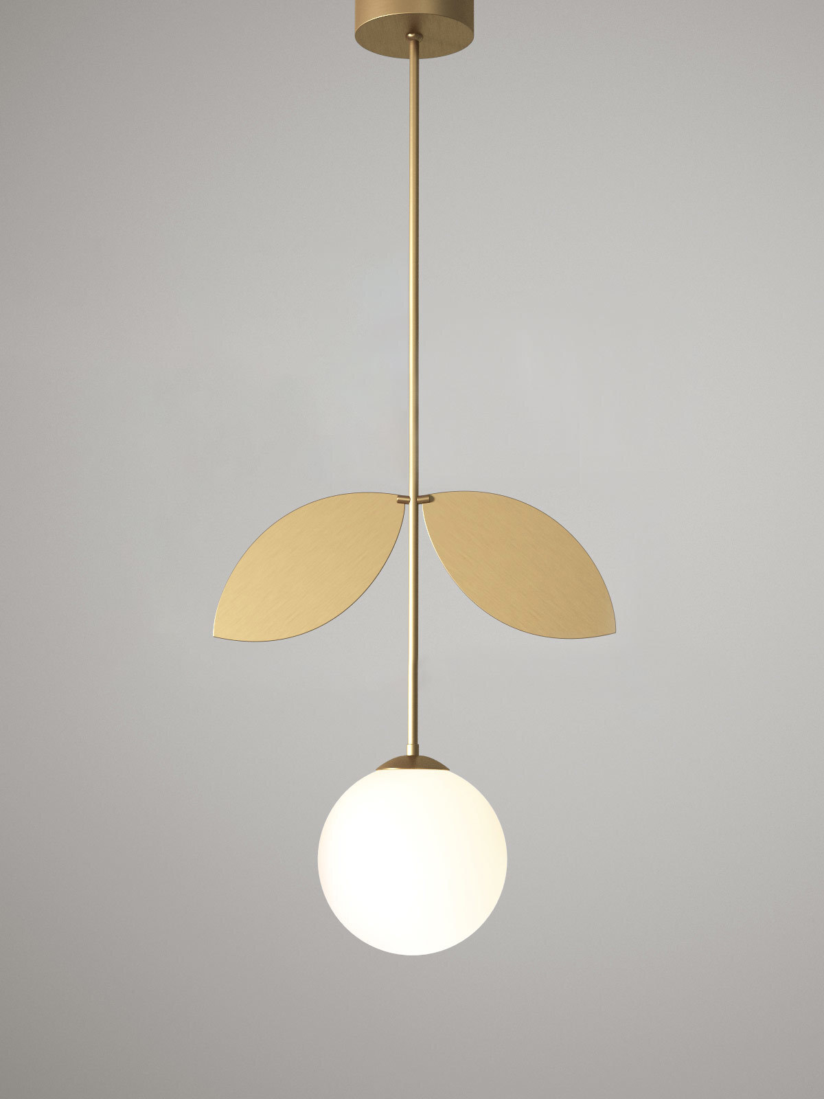 Atelier Areti Plant